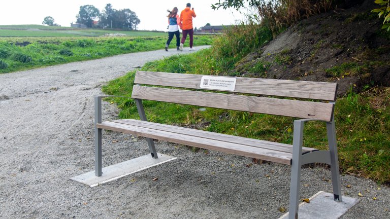 Bilde langs en gruslagt tursti