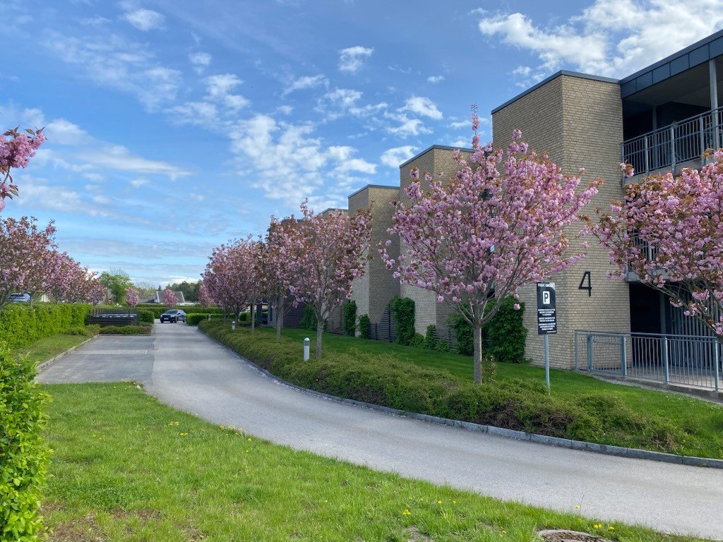 Eksteriør av boligblokk med uteområde