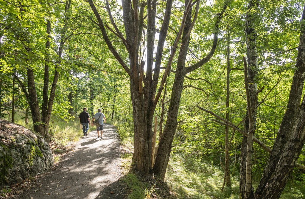 To personer går på en gruslagt sti i en skog med løvtrær