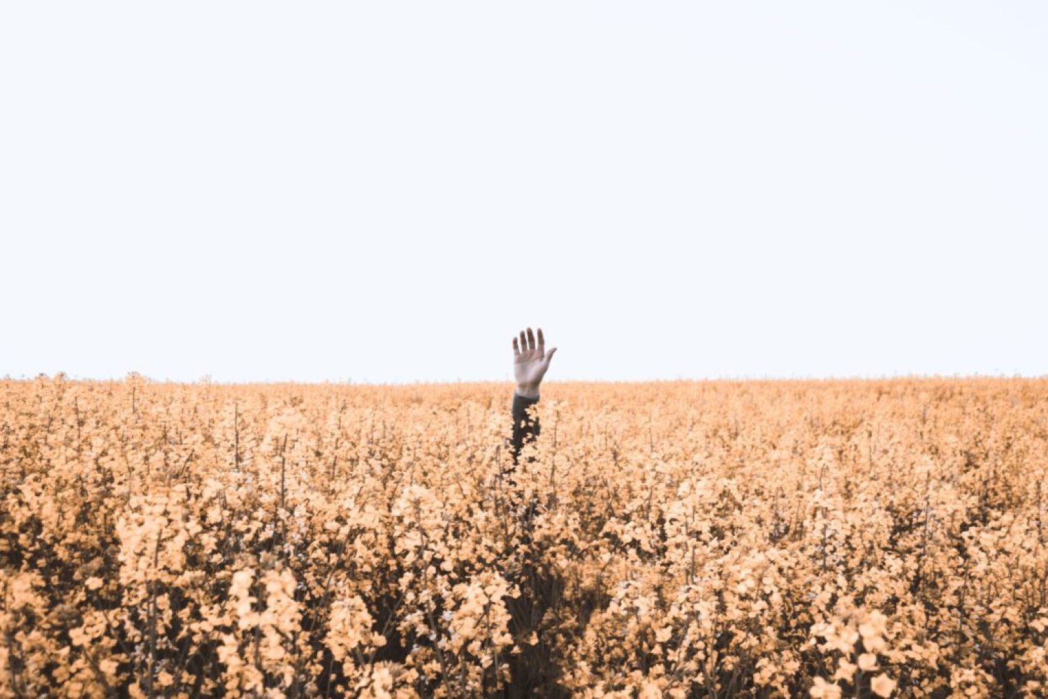 Foto: Unsplash