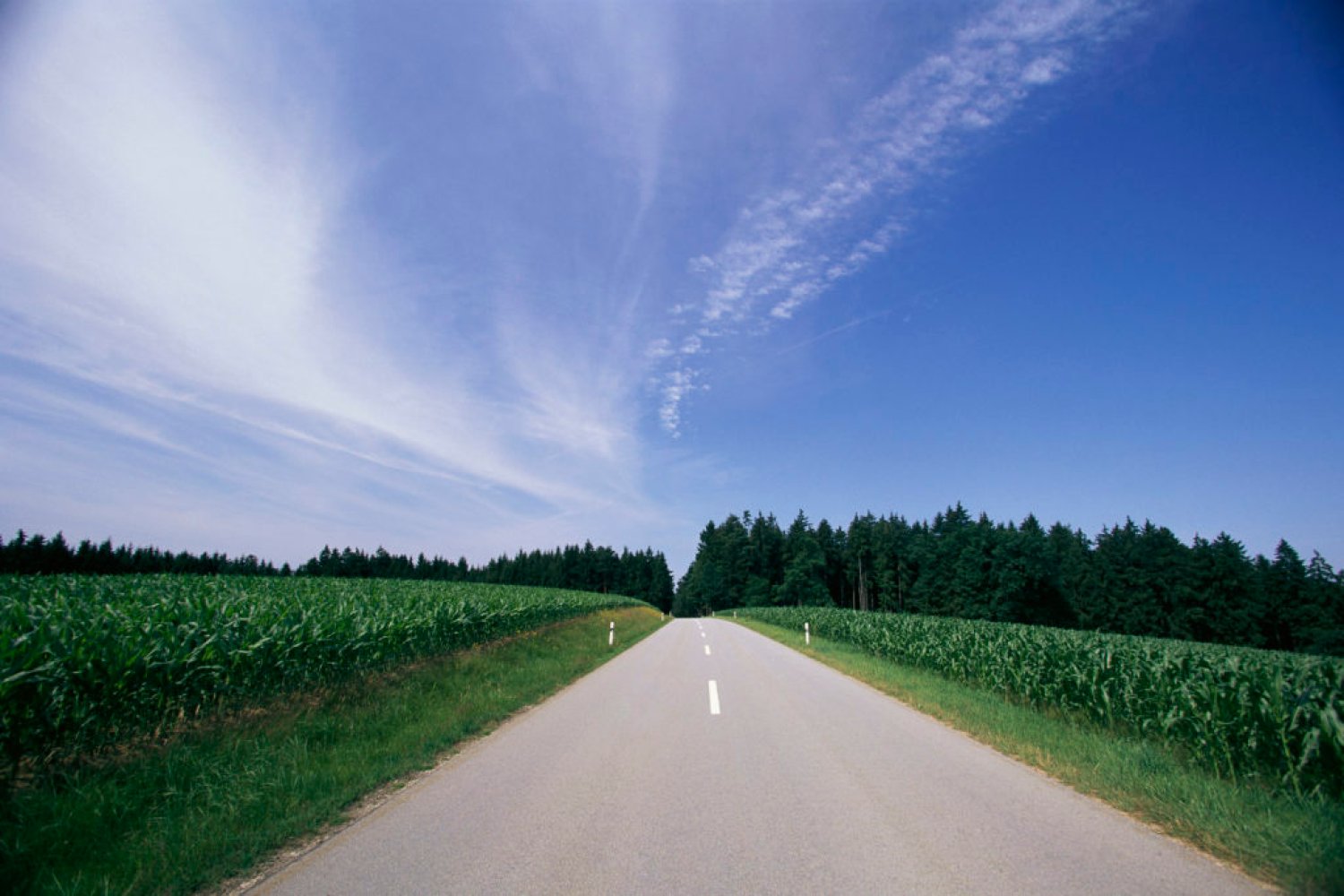 Foto: Royalty-Free/Corbis
